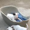 Un bébé à Laya 4