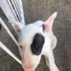 Un bébé à Laya 5