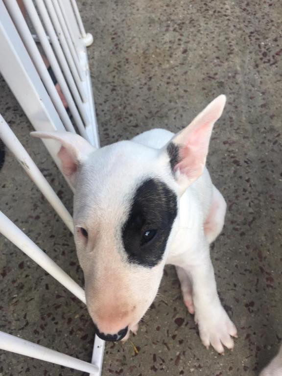 Un bébé à Laya 5