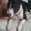 Ares