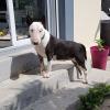 Doudou 