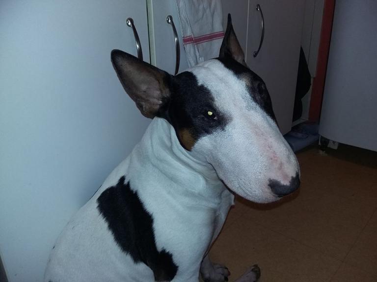 Gabin