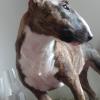 Kaly 