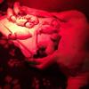 Laya et ses bébés