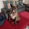 Lilou 
