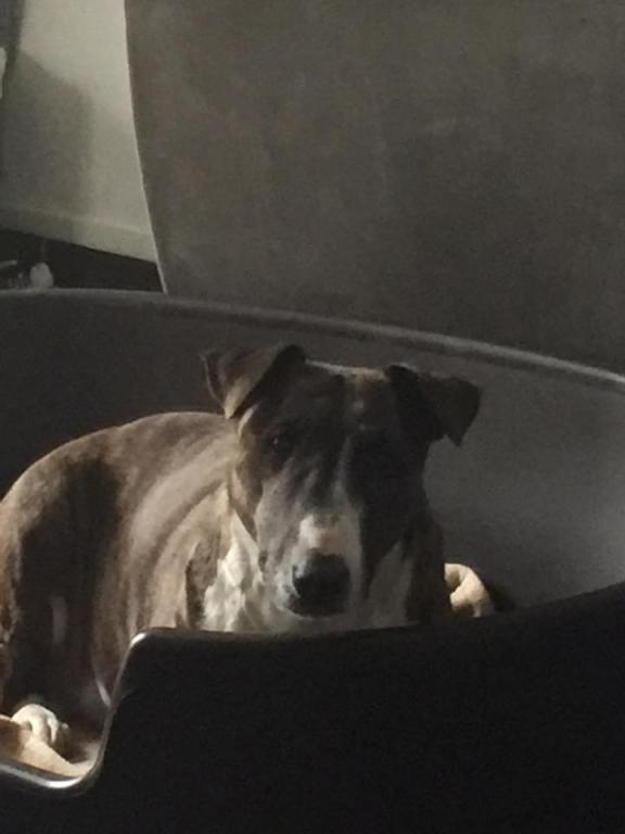 Luna