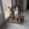 Maïko et Izzy