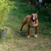 Marley 