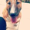 Marley 