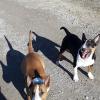 Milow et Stark
