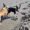 Milow et Stark