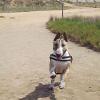 Mugsy 