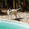 Roxy