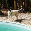Roxy