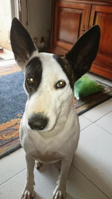 Roxy