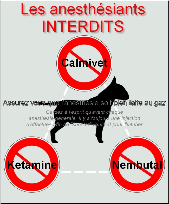 Anesthesiants interdits bis