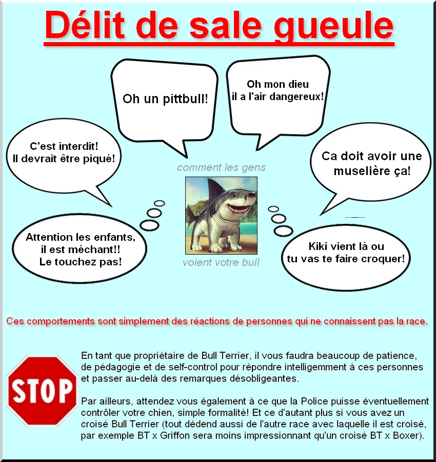 Delit 2 sale gueule
